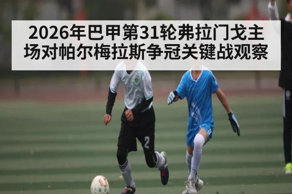 2026年巴甲第31轮弗拉门戈主场对帕尔梅拉斯争冠关键战观察 - KAIYUN