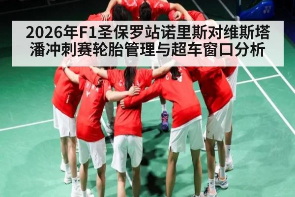 2026年F1圣保罗站诺里斯对维斯塔潘冲刺赛轮胎管理与超车窗口分析(KAIYUN)